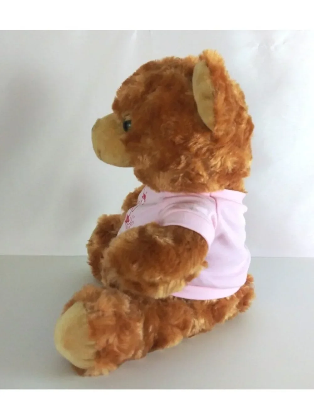 Brown Teddy Bear Wearing Camp All Stars T-Shirt Super Soft 9